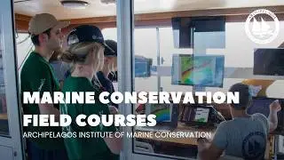 Marine Conservation Field Courses | Archipelagos Institute of Marine Conservation