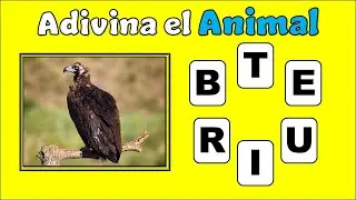 ✔ADIVINA EL ANIMAL CON EL NOMBRE DESORDENADO 🦝🐰 Reto de Animales