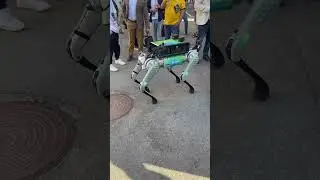 Куда приложить карту?😂🤩