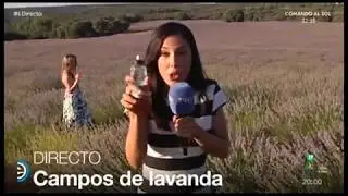 ESPAÑA DIRECTO - Festival de la lavanda