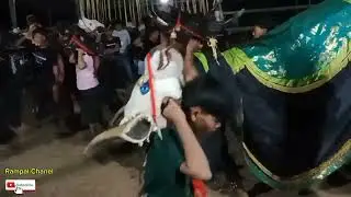 Aksi kalap Gayengan ‼️PUTRO JOLONG REJO🔥🔥🔥