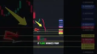 Floki Coin Price Prediction You Can't Miss! 🔮💸