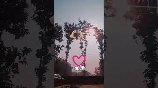 ham apne marji Cha sakte par