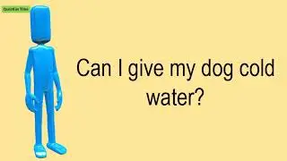 Can I Give My Dog Cold Water?