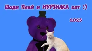 ШАДИ ПЛЕЙ И МУРЗИЛКА КОТ :) (ВЛОГ 2023)