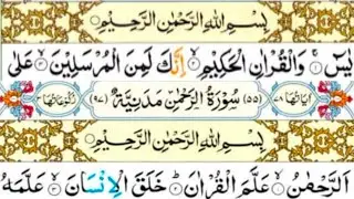 Surah Yasin|Quran recitation|daily yaseen #36|Yacen|surah yaseen surah Rehman|سورةيس سورةالرحمن