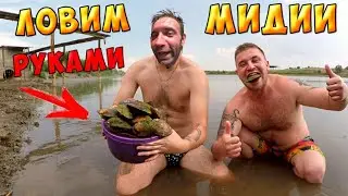 Кум Боба и секретный гость ловят мидии