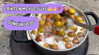 EVDE ERİKTEN MEYVE SUYU👌ERİK TOPLAMA | HASTA HALİMLE  BOLCA YÜRÜDÜM ✔️EVDEN ÇIKMADAN YEMEKLER HAZIR