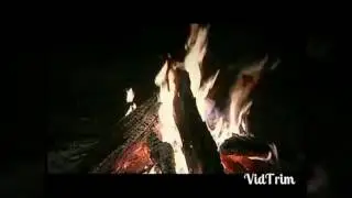Цыганская любовь.