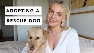 Effie Update | Adopting a Rescue Dog | Estée Lalonde