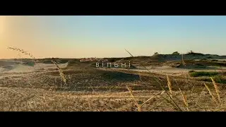 Alex Zakharchuk - вільні