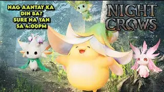 NIGHT CROWS - Check in game updates Sure na ba 4:00PM