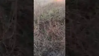 Дон. Окопы.