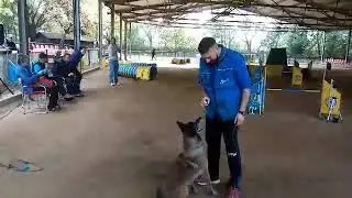2019.10.12 -  Ultima agility in gara   Cane bianco