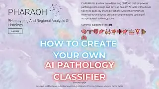 How to Create your Own AI Pathology Classifier with PHARAOH