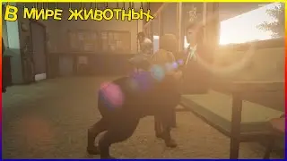 В мире животных || 