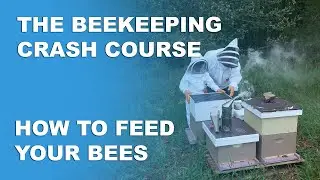 Feeding Your Bees - Beekeeping Basics Part 5 - Beekeeping Crash Course