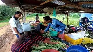 Sri Lankan Weekly Village Market | Business In Sri Lanka