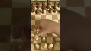 как играть в шахматы