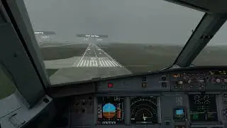 Fenix A320 Autoland during Hurricane Ian