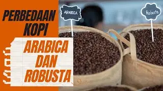 PERBEDAAN ARABICA DAN ROBUSTA