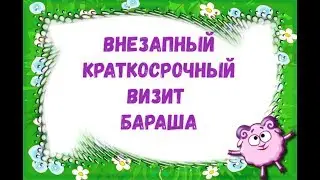 Внезапный визит Бараша в манеж к хасятам