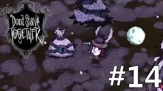 WOREK Z PREZENTAMI! CELESTIAL ORB Don't Starve #14