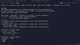 The Python Programming For Everyone Immersive Training 15