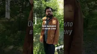 Я — трёхсотлетняя черепаха