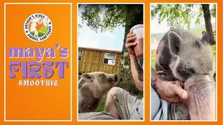 Maya’s first Smoothie