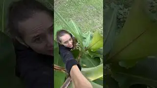 #австралия #блогдляженщин #vlog #влог #блогмамы #блогер #блоггерство #интерес #рецепты #обзорвлога