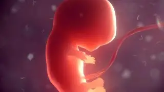 CNBB emite nota contra flexibilização da prática do aborto no país