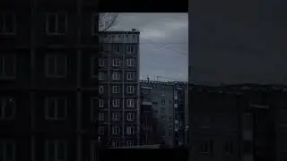 #жиза