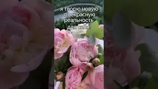 #оксанатанкеева #метафорическиекарты #медитация #картадня #аффирмации #регрессия #эзотерика