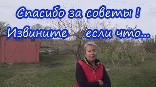 11.11.23 Немного про комментарии