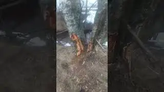 15 марта 2024 г.