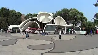 Китай: Чэнду, заповедник панд