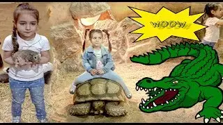 Говорящий Попугай и Прекрасные животные /  Talking Parrot and Lovely animals