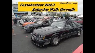 Possibly Every fox at Foxtoberfest 2023 Saturday