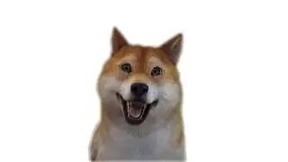 DOGE про космос ДА ДЕТКА