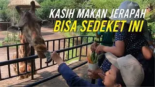 Kebun binatang Bandung | Bandung Zoo