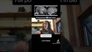Bird Brains