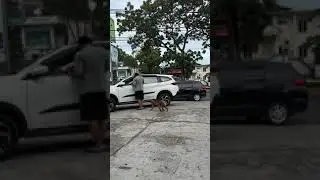 Pet monkey startles a guy at his car! #shorts #monkey