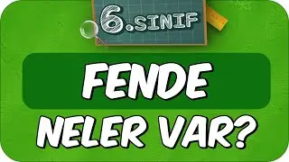 6. Sınıf Fende Neler Var? Fen Dersine Nasıl Çalışır❓