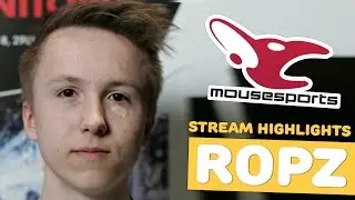 CS:GO - ropz | Stream Highlights