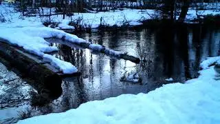 ID4333/Пинежский заповедник/Уж очень мне надо на тот берег