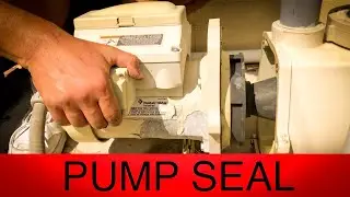 How to replace a Pump Seal in a Pentair Intelliflo pool pump and Daily VLOG 129