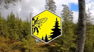Ànimes skogsbigård // Ànimes forest beehive