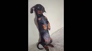 Добрый вечер, я диспетчер!