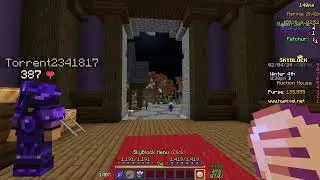 Minecraft SkyBlock survival in Hypixel #17